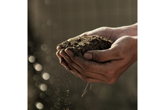 Image Hands holding a pile of dirt on the right side of the image.